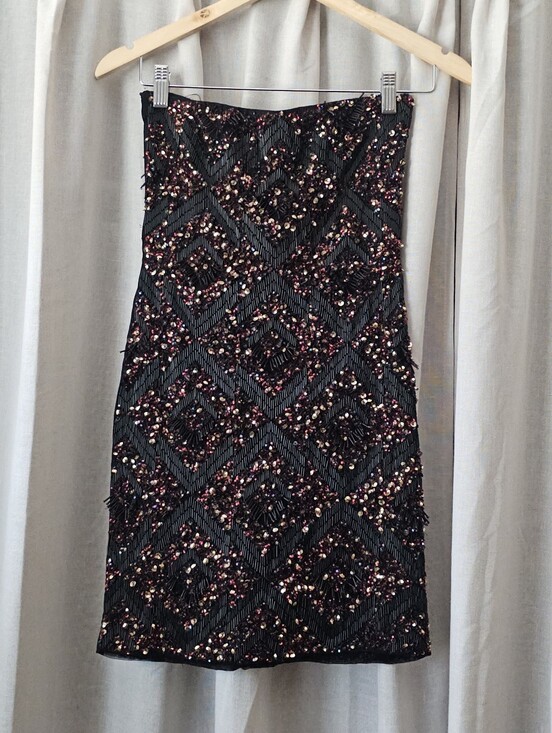 All Saints Dresses & Skirts - AllSaints Spitalfields Panel Tube Dress – Size US 2 / UK 6 – Hand Embellished